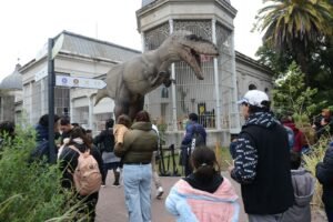 f1dc2cd9-a853-4501-bc29-adfbf492bd4d