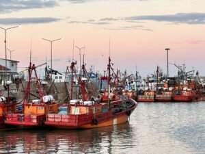 fd088208-8c6a-4289-9ac0-ac42ea8cf65f