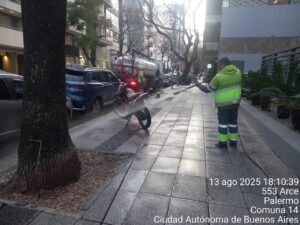 mail - 2025-08-18T174126.685